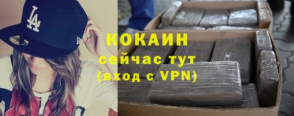 мдпв Инта