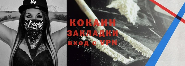 мдпв Инта