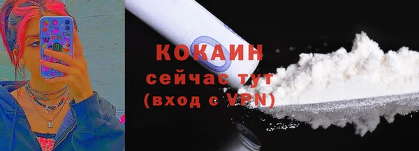 мдпв Инта