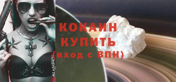 мдпв Инта