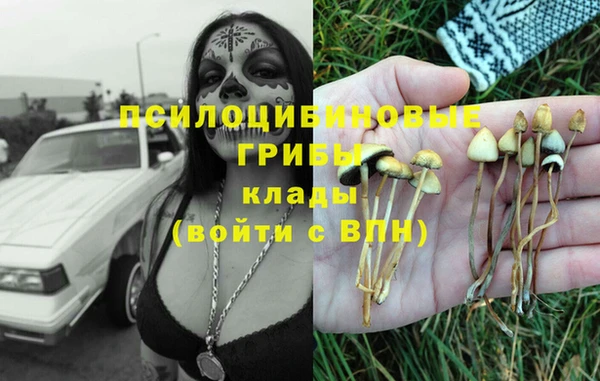 мдпв Инта