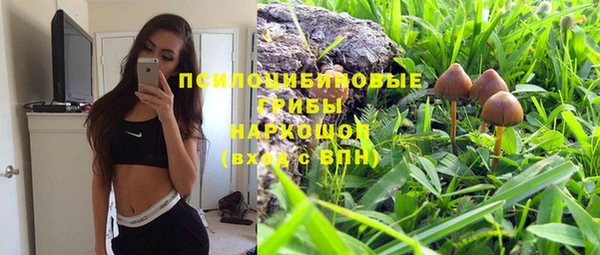 мдпв Инта