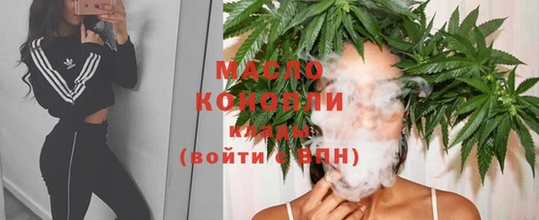 мдпв Инта
