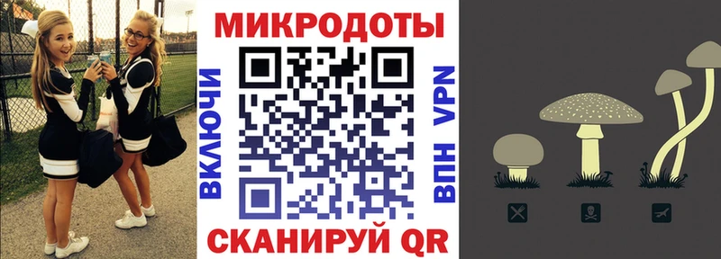 Купить где  Юрьевец  Псилоцибиновые грибы Magic Shrooms 
